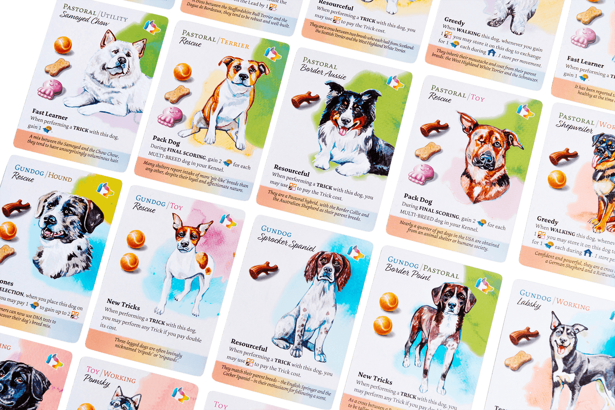 Dog Park: New Tricks