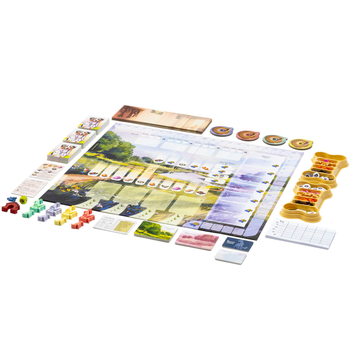 Dog Park Board Game