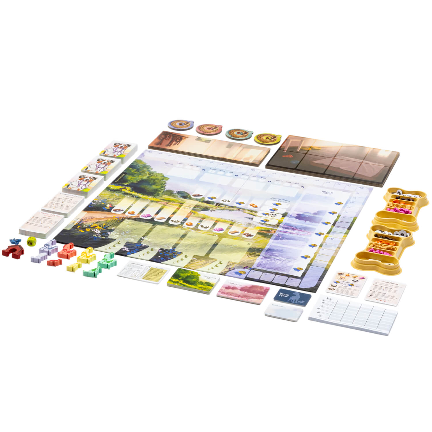 Dog Park Board Game