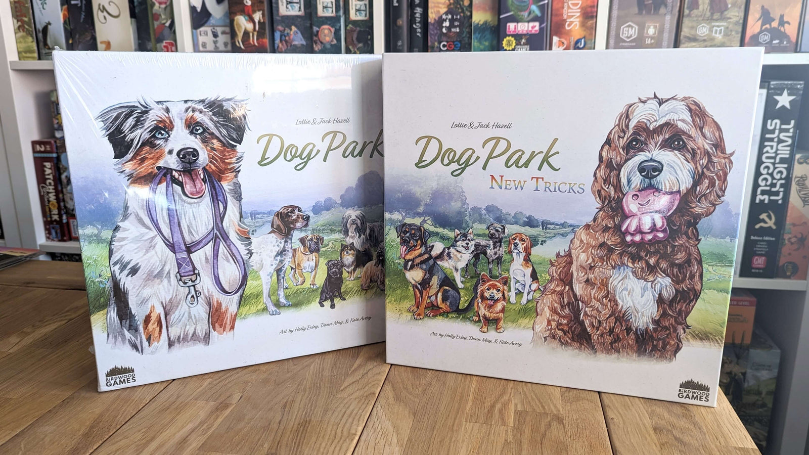 Something New for Dog Park: Our Design Intentions for New Tricks