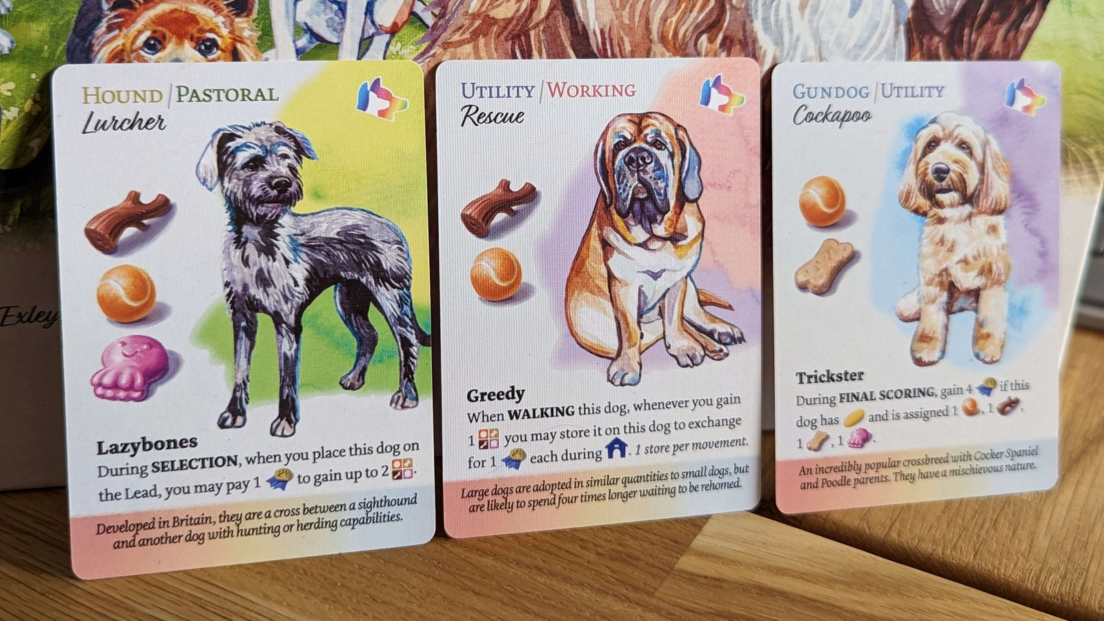 Meet the Multi-breed Dogs of New Tricks