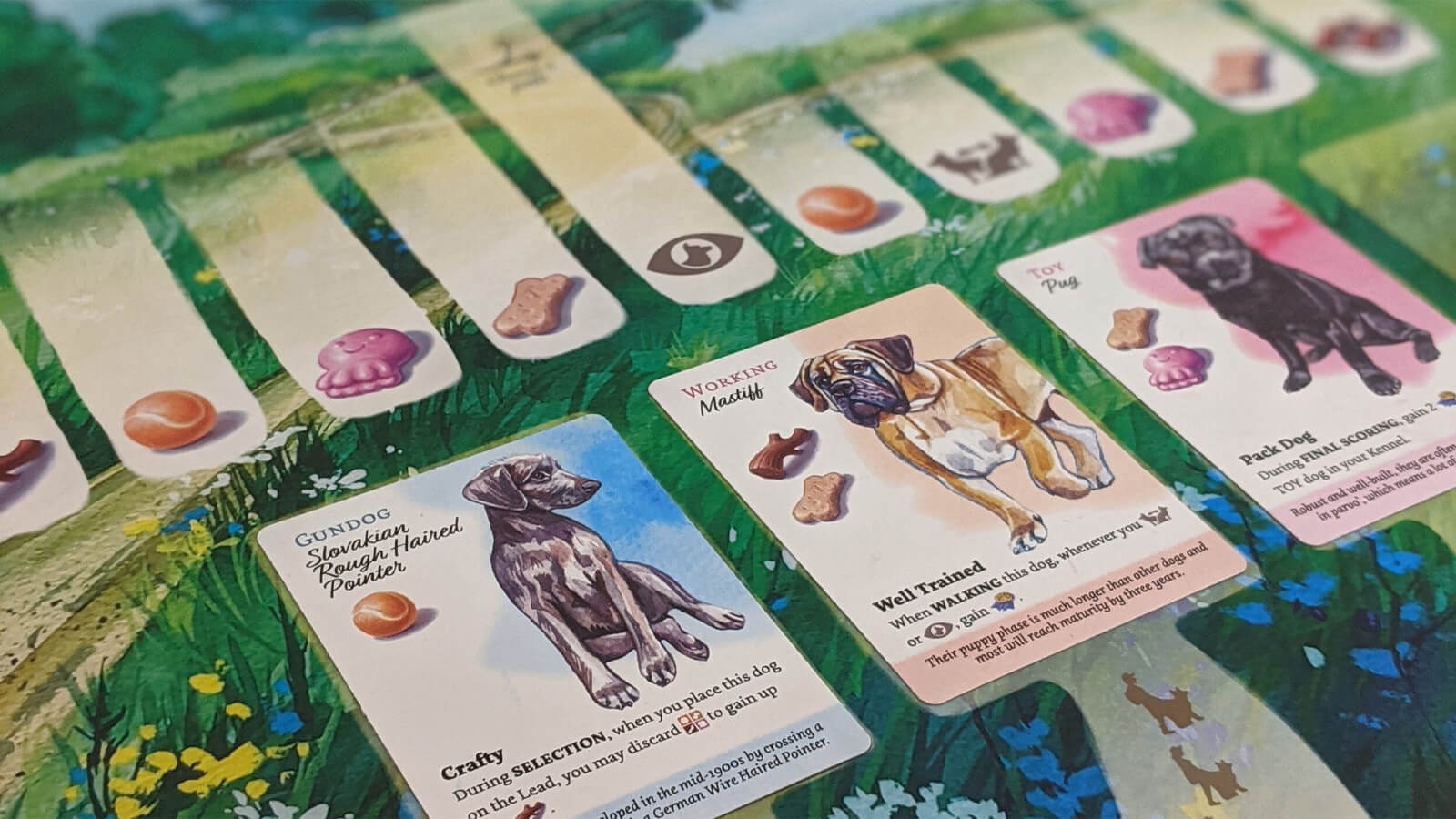 Unboxing the Dog Park Prototype