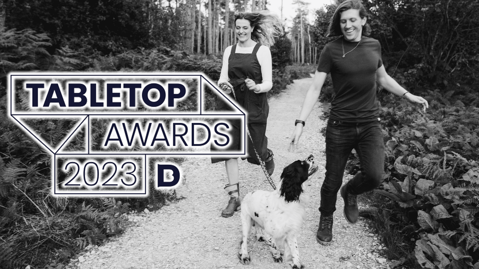 Birdwood Games Scoops Three Dicebreaker Tabletop Award Nominations!