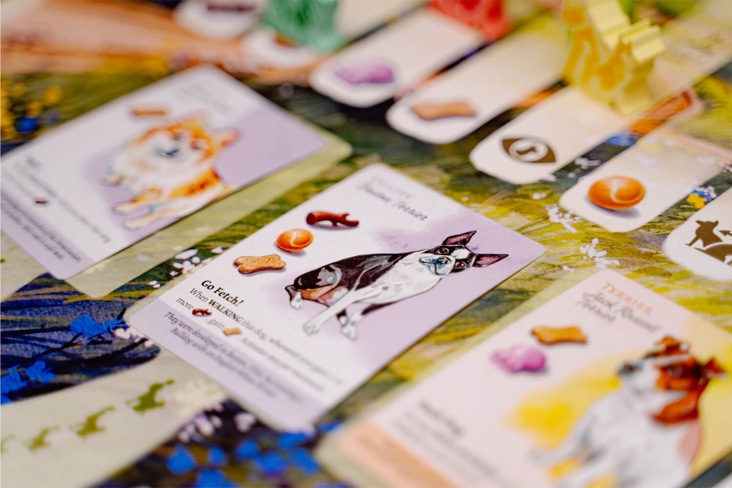 Dog Park: A Beautiful Board Game about Walking Dogs by Birdwood Games —  Kickstarter