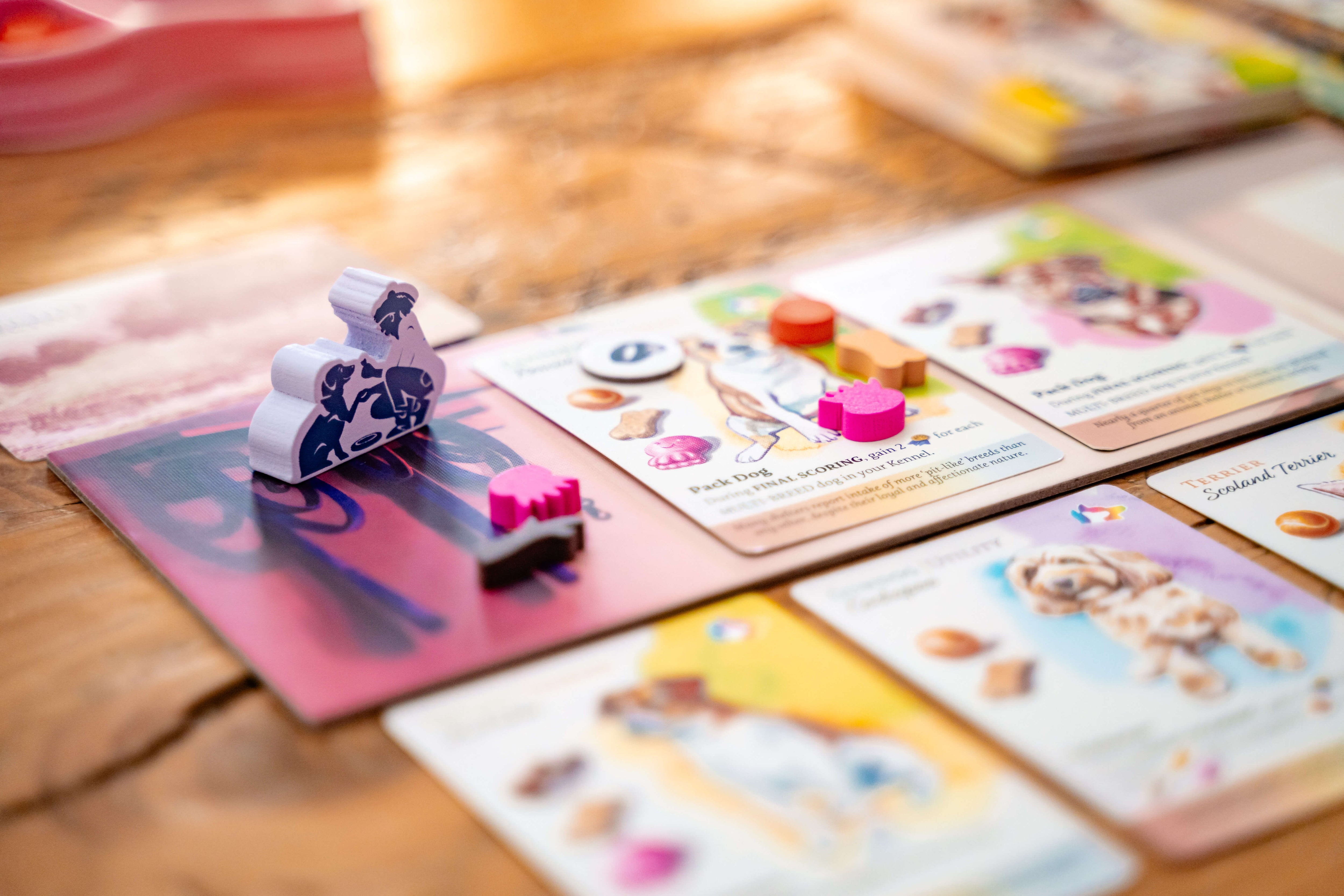 ボードゲーム　[日本語訳無し] ドッグ・パーク コレクターズエディション (Dog Park Collector’s Edition) Dog Park Collector'S Edition Kickstarter Board Game - The