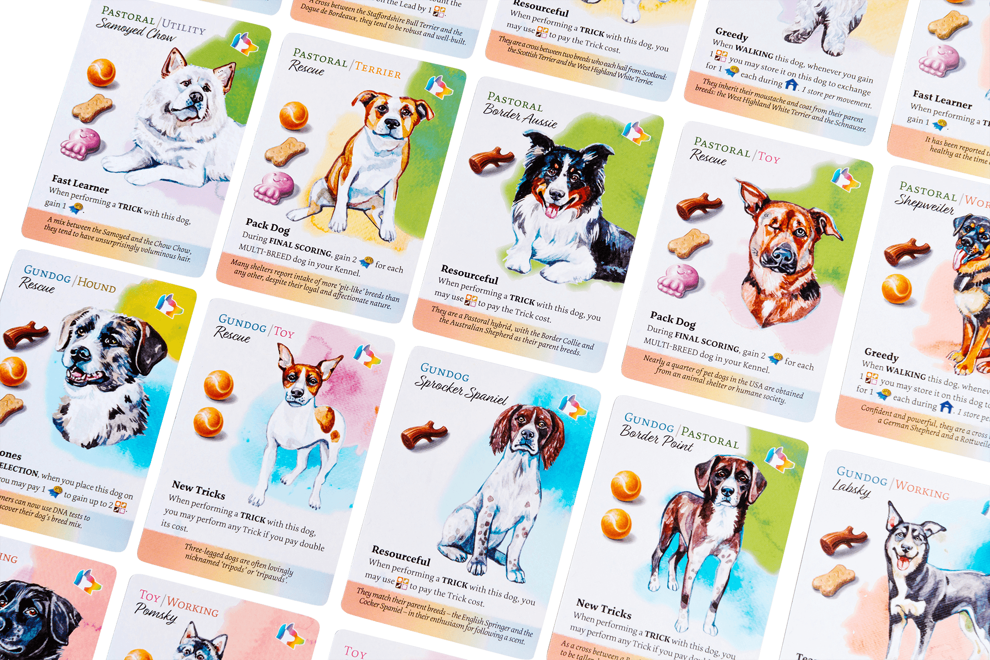 Dog Park New Tricks Collector s Edition Birdwood Games dog-park-new-tricks-collector-s-edition-birdwood-games
