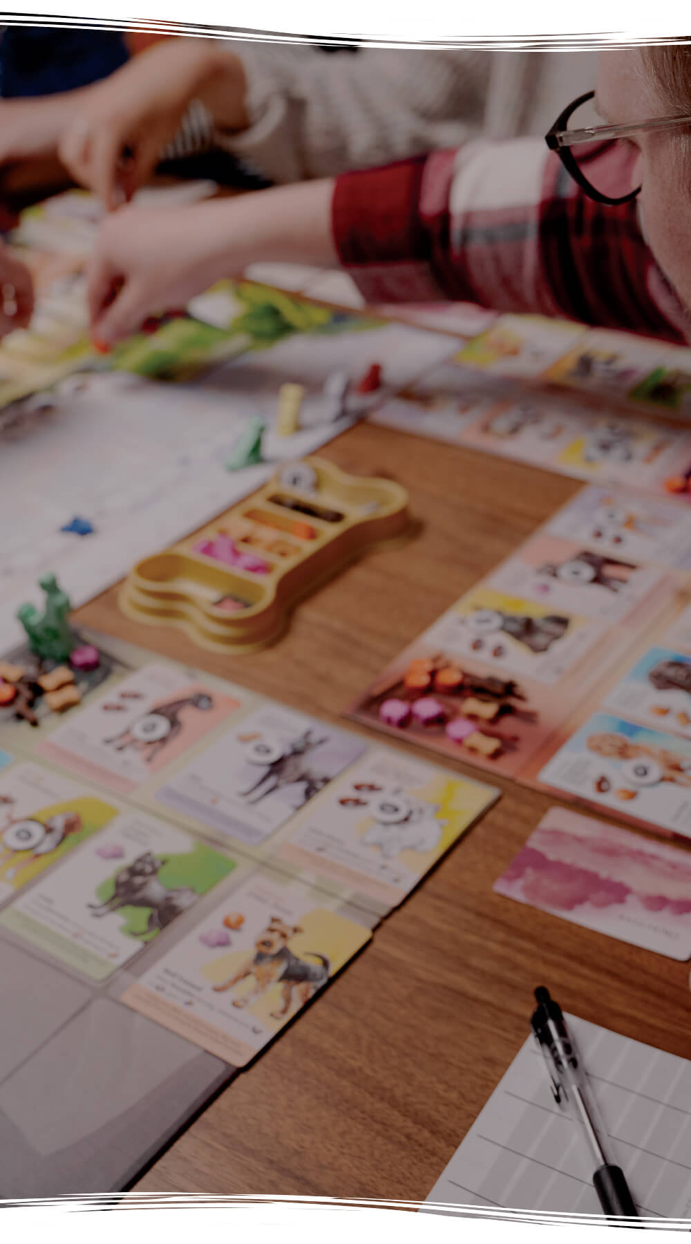 Dog Park: A Beautiful Board Game about Walking Dogs by Birdwood Games —  Kickstarter