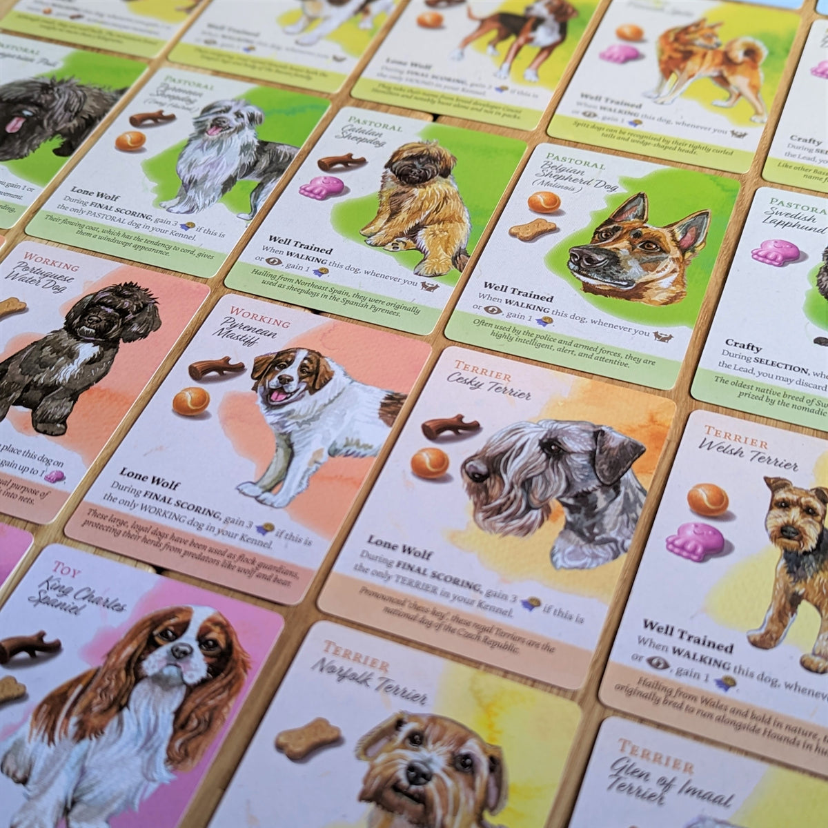 Dog Park Board Game Expansion Pack - European Dogs